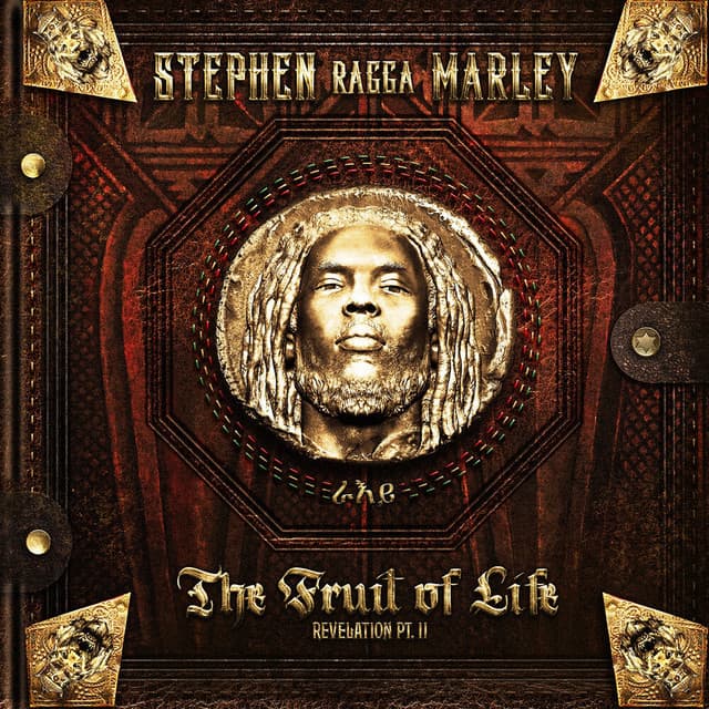 Pochette — The Lion Roars (Mayfield Version) — Stephen Marley