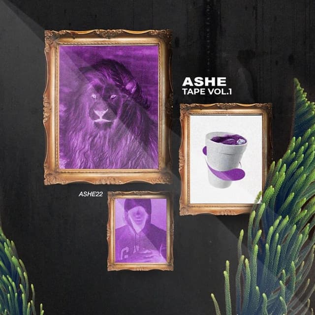 Pochette — CHERIF — ASHE 22