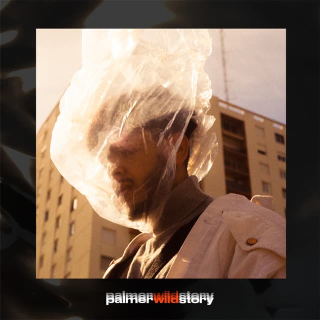 Pochette — Palmer wild story — Khali