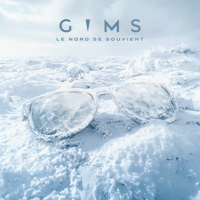 Cover artwork — VENT DU NORD — GIMS