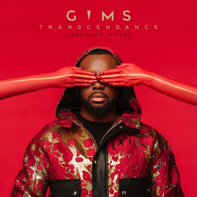 Pochette — 10 / 10 — GIMS