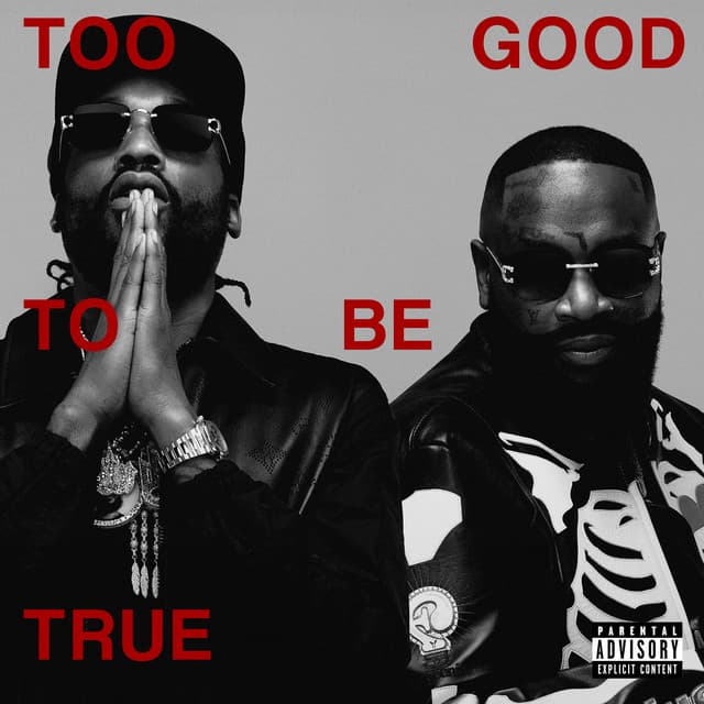Pochette — Too Good To Be True — Rick Ross