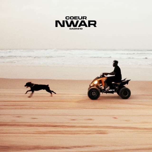 Pochette — Coeur Nwar — Dadinho