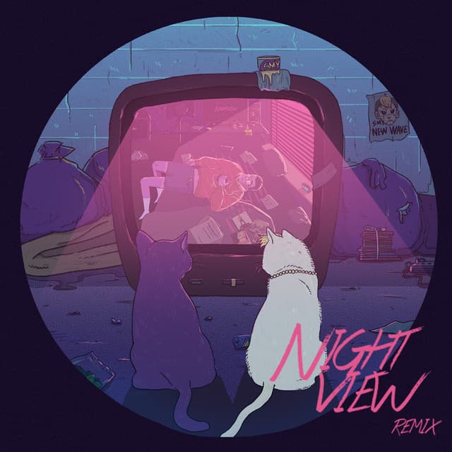 Pochette — Night View (feat. T.I.G 鐵巨人) [Remix] — SMY