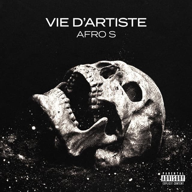 Cover artwork — Vie d'artiste — Afro S