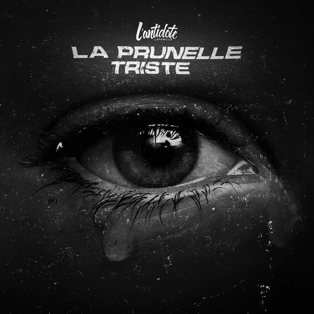 Pochette — La prunelle triste — L'Antidote LaFamille
