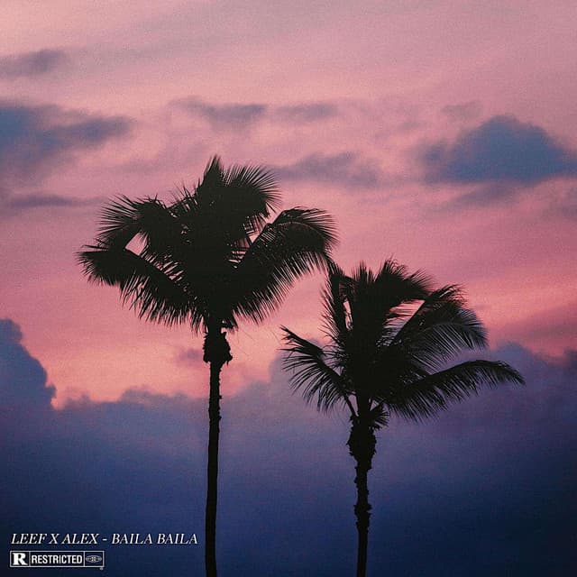 Pochette — Baila Baila — LEE F