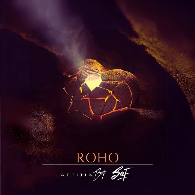 Pochette — Roho — Laetitia Bay