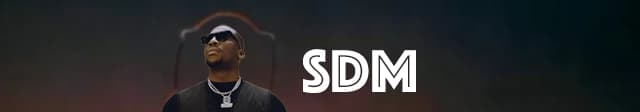 Type Beat SDM